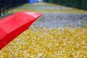 处暑下雨好吗