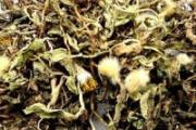 什么中药可以提高免疫力 中医增强免疫力中成药