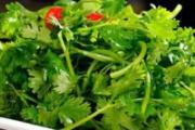 香菜含有什么营养成分 香菜吃了有什么作用