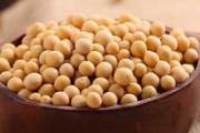 宝宝可以吃黄豆吗 宝宝多大能吃黄豆