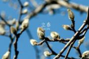立春一般是几月几日
