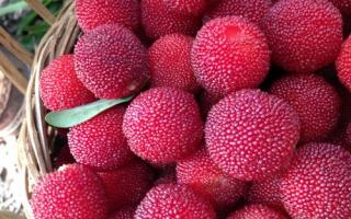 吃牛油果的最佳时间