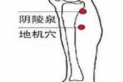 地机的准确位置图视频 地机的作用与好处