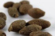 胖大海泡水喝治咽炎吗 胖大海治咽炎的用法