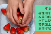 草莓怎么洗 草莓怎么洗才干净