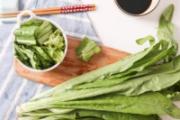 哺乳期吃油麦菜回奶吗 吃多了油麦菜好吗