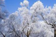 冬至后每天长几分钟