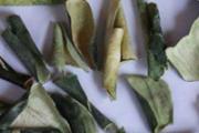 冬瓜皮泡水的功效与作用