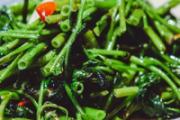 藜蒿叶子为什么不能吃 藜蒿什么时候能吃