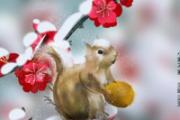小寒节气如何养生 小寒吃什么传统食物