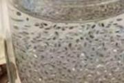 吃奇亚籽的危害 三类人不适合吃奇亚籽