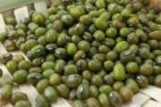 绿豆怎么煮容易烂 教你三招快速煮烂绿豆