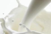 纯牛奶和鲜牛奶有什么区别 纯牛奶和奶粉哪个有营养哪个更好