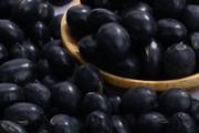 黑豆起了虫子还能吃吗 黑豆如何保存不易起虫