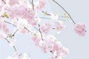 2022年立春是上午还是下午 2022年立春是不是就暖和了