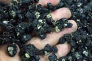 黑枸杞的功效与作用 黑枸杞配上菊花饮用