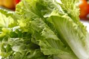 为什么生菜炒出来会苦 生菜有点苦能不能吃