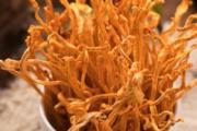 虫草花吃了会上火吗 虫草花怎么吃效果最好