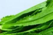 油麦菜的营养价值 油麦菜的功效是什么