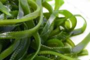 日本昆布是海带吗 昆布和海带有什么不同