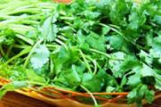 香菜放蔫了还能吃吗 凉拌香菜过夜能吃吗