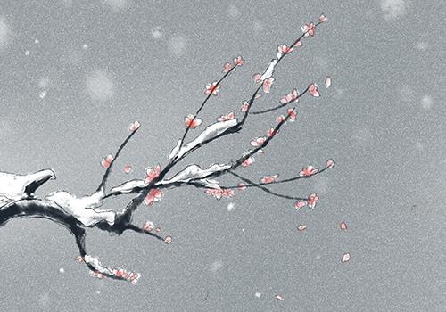 小雪是哪天 小雪都是11月22日吗 乐哈健康网