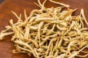 石斛可以和金银花一起泡吗 石斛加金银花的功效