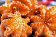 八爪鱼的墨汁能吃吗 八爪鱼的哪个部位不能吃