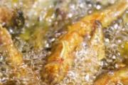 泥鳅可以生吃吗 泥鳅怎么吃效果好