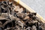木耳怎么泡发最好 什么人不适合吃木耳