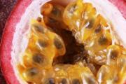 吃鸡蛋果会上火吗