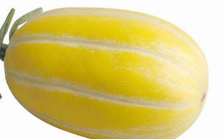 香瓜瓤可以吃吗