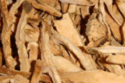 香椽皮的功效与作用 香椽皮的注意事项