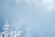 大雪是不是天然的指南针 大雪是不是开始数九了