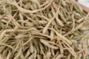 喝金银花水禁忌 金银花的正确饮用方法