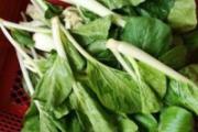 小白菜的功效与作用