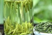绿茶可以减肥吗 绿茶怎么喝减肥