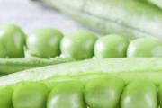 豌豆怎么保存的 豌豆怎么做好吃又简单