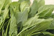 夏天总是打瞌睡怎么办 7种食物提神抗疲劳