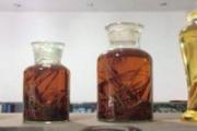 祛风除湿的药酒配方 祛风除湿的中药