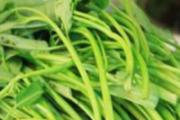 空心菜抽筋科学吗
