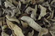木耳泡10分钟可以吃吗 木耳泡好后能放多久