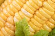 玉米棒属于哪类垃圾 玉米棒有哪些作用