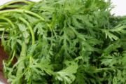 茼蒿怎样存放保鲜 茼蒿可以生吃凉拌吗