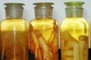 气血不足用什么泡药酒 什么药酒补气血