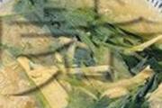 什么汤消炎清热去火 夏天清热去火的汤