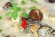 小宝宝肠胃炎什么症状 宝宝胃炎食疗方