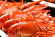 龙虾死了第二天能吃吗 龙虾怎么养过夜不死