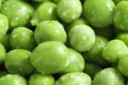 青豆放冰箱长芽能吃吗 青豆放冰箱怎么保存最好