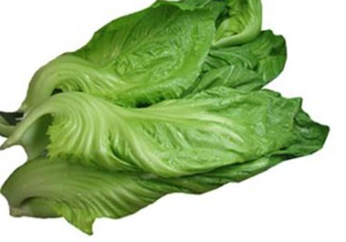 啥是大头菜 74036918d7b7a.jpg